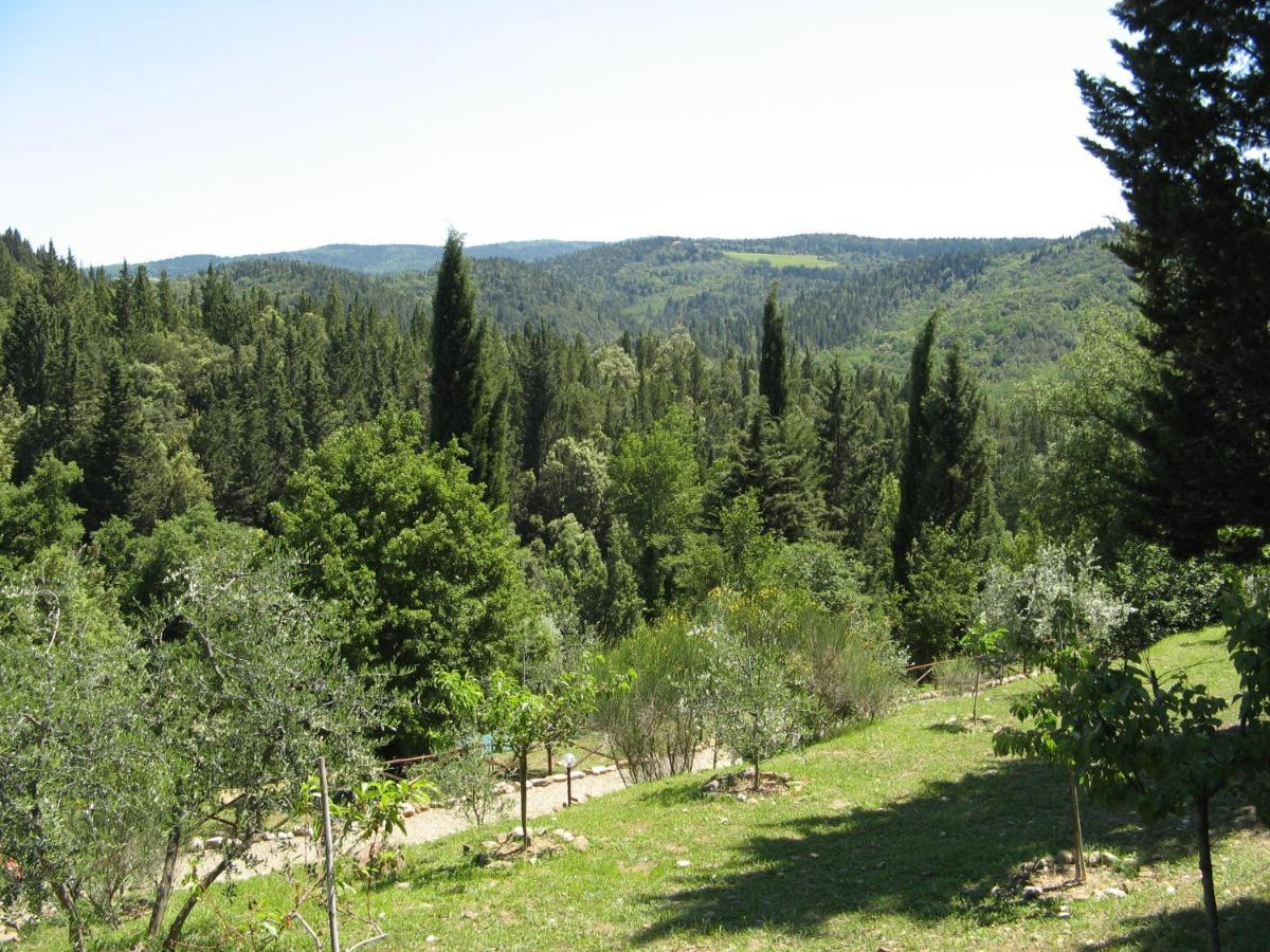 Tenuta La Cipresseta Appartement Monsanto Buitenkant foto